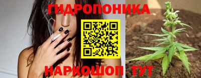 сатива Прокопьевск