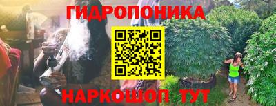 круглые Можга