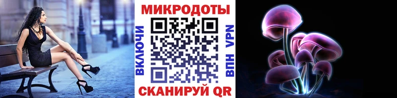 Псилоцибиновые грибы мицелий  Большой Камень 