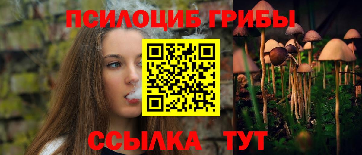 Большой Камень  Псилоцибиновые грибы прущие грибы  Вход с VPN 