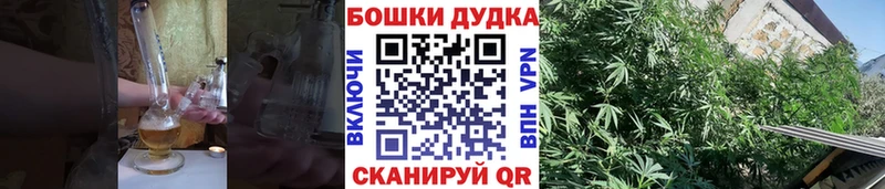 Бошки марихуана Amnesia  Большой Камень 